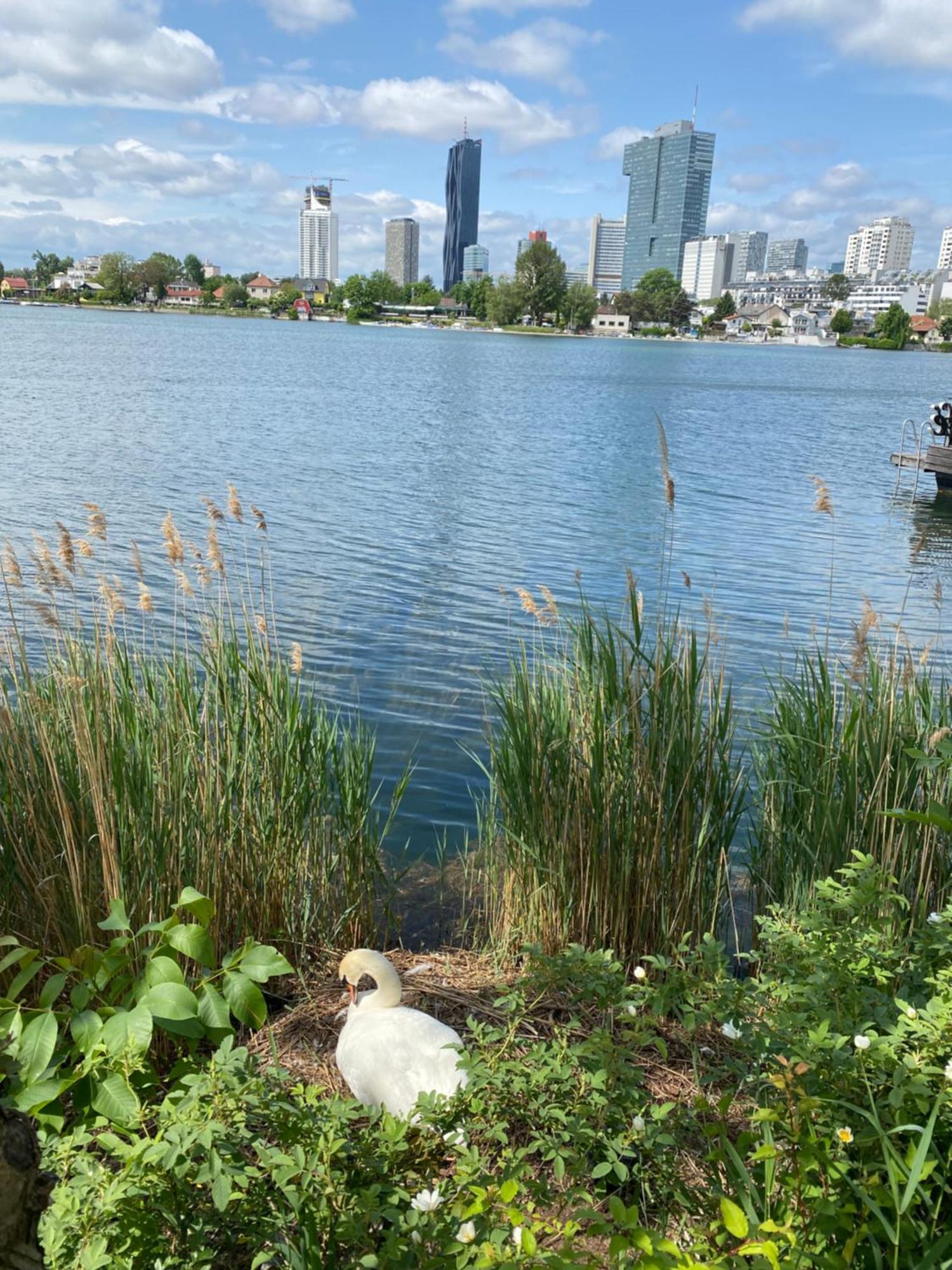 U1 Alte Donau Old Danube City Apartment 2 Βιέννη Εξωτερικό φωτογραφία